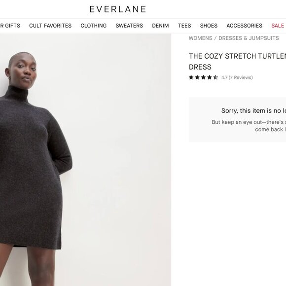 Everlane The Cozy Wool-Blend Stretch Turtleneck Dress in Grey - Picture 8 of 8